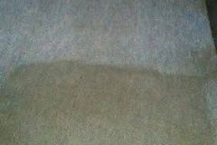 commercial carpet cleaning2